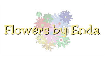 Flowers By Enda