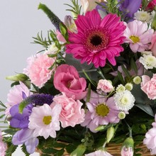 Basket Arrangement