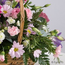 Basket Arrangement