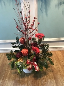 Red Berries & Red Flowers